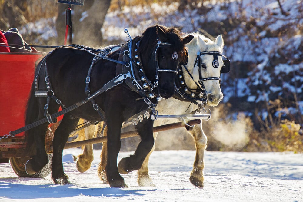 A gorgeous winter sleigh ride during your Vermont Getaway