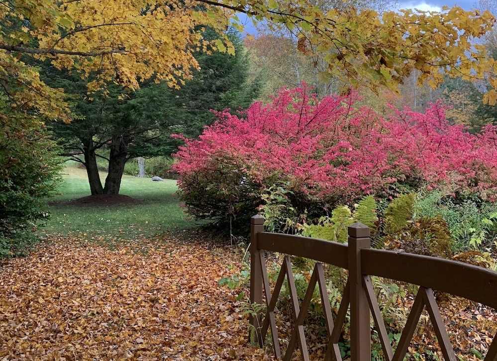 Vermont fall foliage on the grounds of our Woodstock, VT Bed and Breakfast