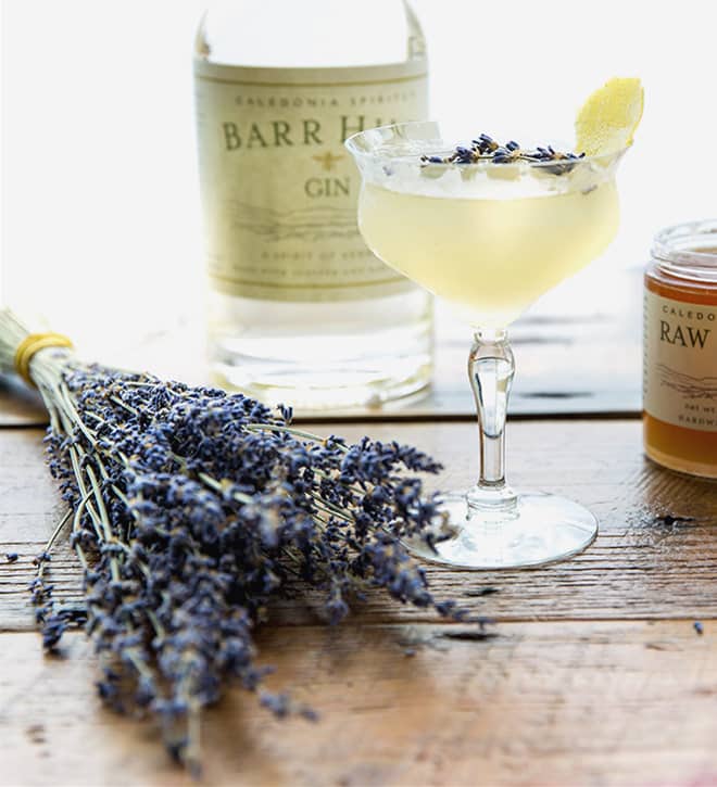 Craft Cocktail at our Woodstock Hotel using Gin from Barr Hill Distillery