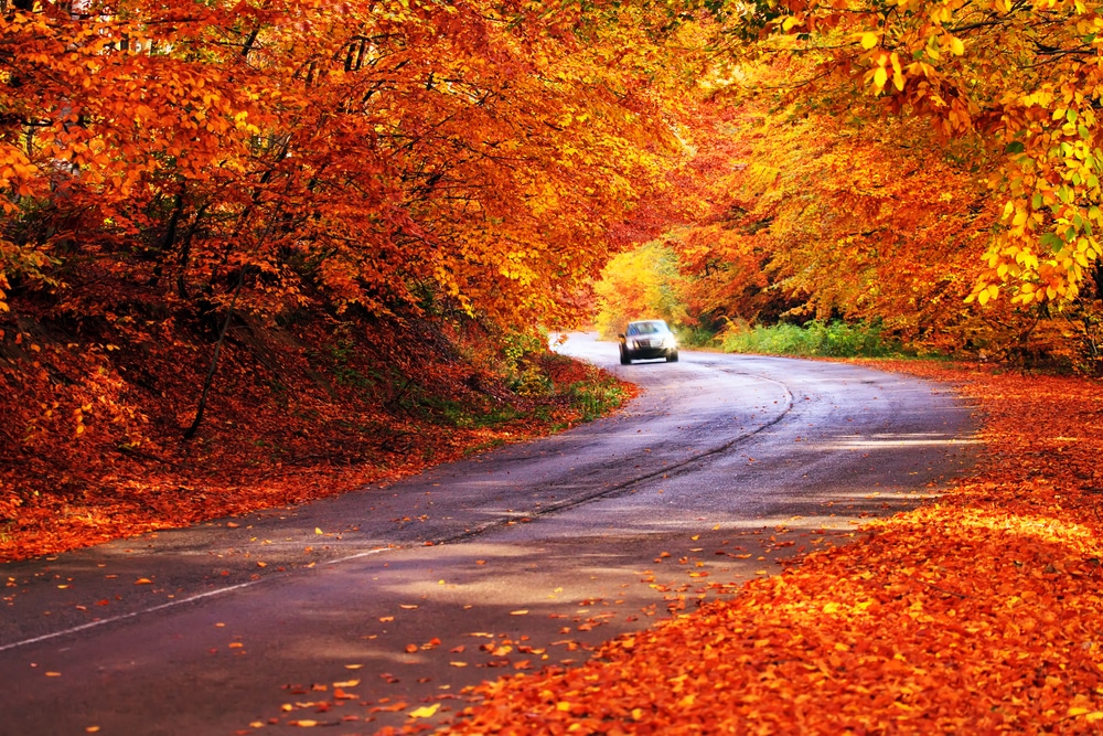 Car enjoying a drive through red foliage on one of the best scenic drives in Vermont