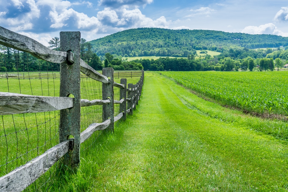 A fenceline along the property at the Billings Farm and Museum in Woodstock, Vermont
